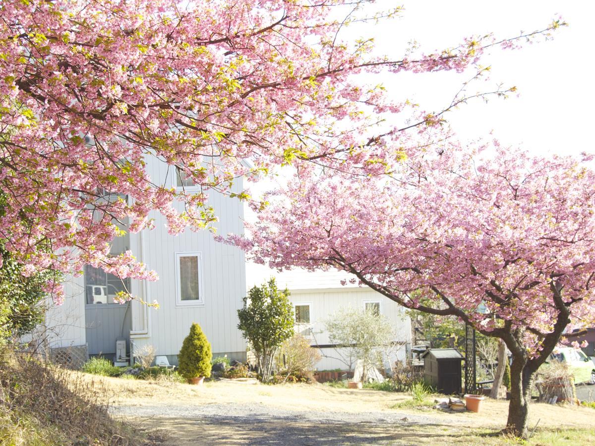 Country Inn Galley Ito (Shizuoka) Ngoại thất bức ảnh